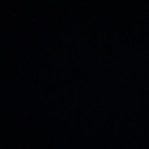 Meet your Posher, Wesley